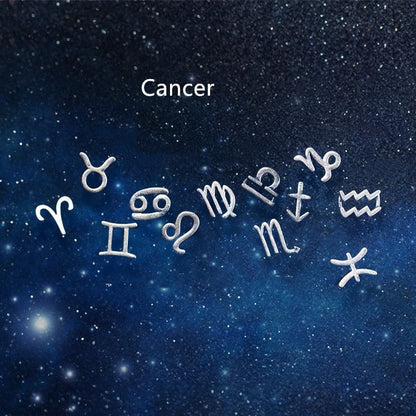 12 constellation earrings simple wishing earrings earrings